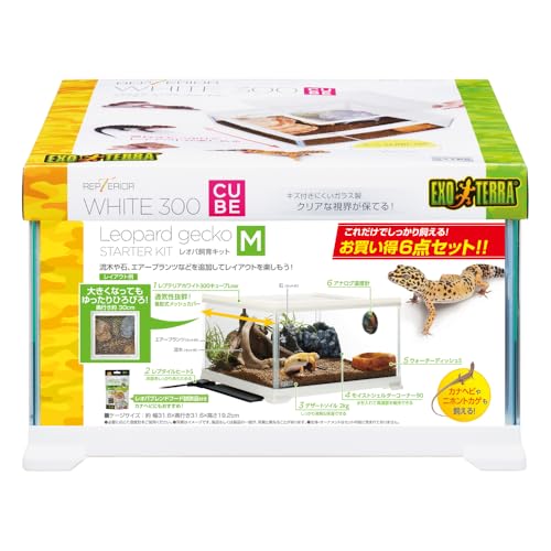 爬虫類飼育セット　まとめ売り フトアゴヒゲトカゲ リクガメ飼育Bセット（シェルター小のおまけ
